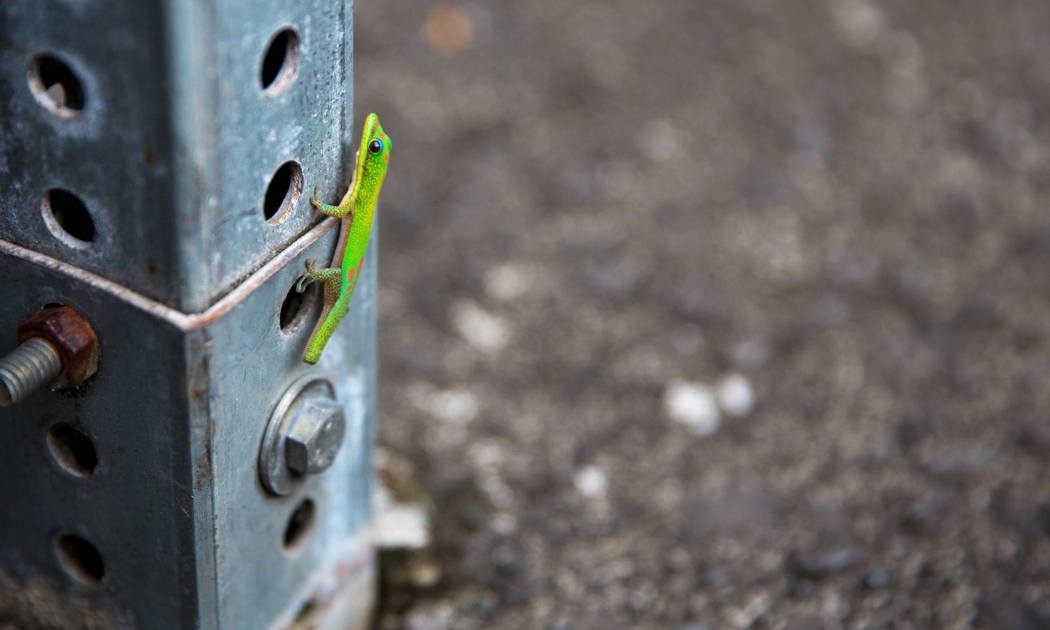 Descarte Correto de Equipamentos Elétricos