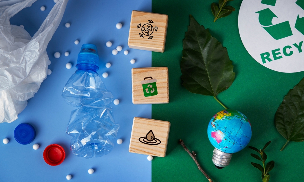 Descarte Sustentável