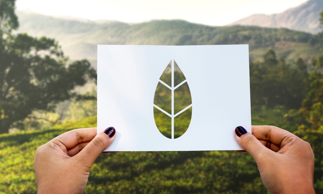 Certificados de Redução de CO₂